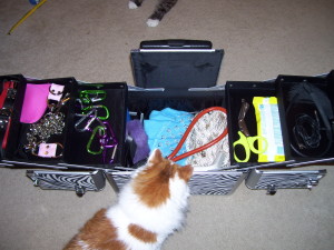 Abbey and the kink toy suitcase
