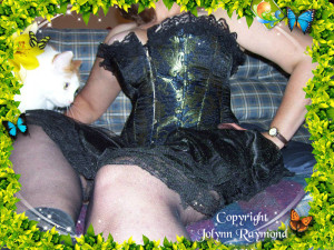 Blue Corset and Cat